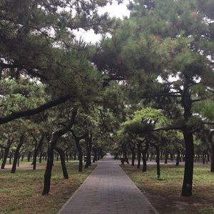 Meet your Posher, Maread